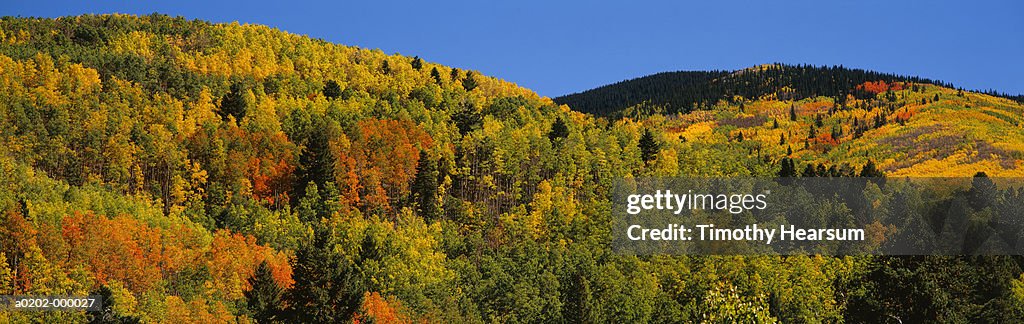 Santa Fe National Forest