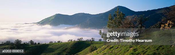 mist over valley - los padres national forest stock pictures, royalty-free photos & images