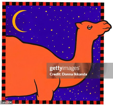 Camel Camel