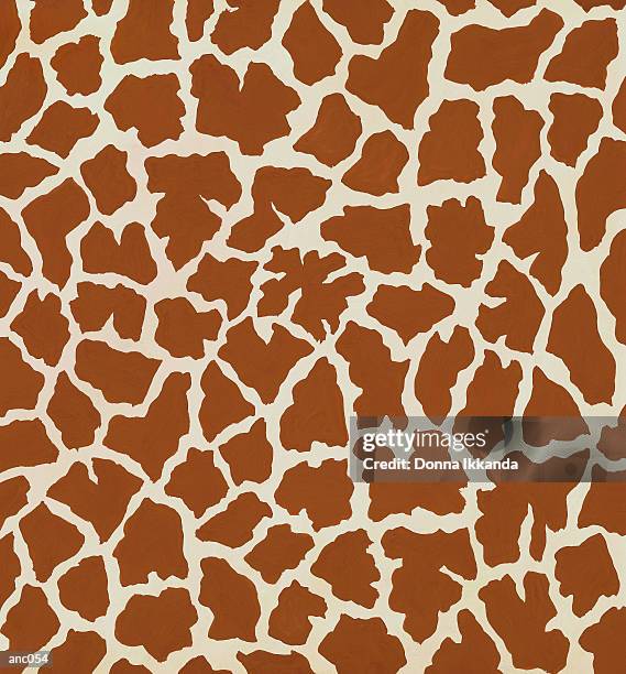 Anc Patterns 243 Giraffe Paintings Stock Photos, High-Res Pictures, and Images ...