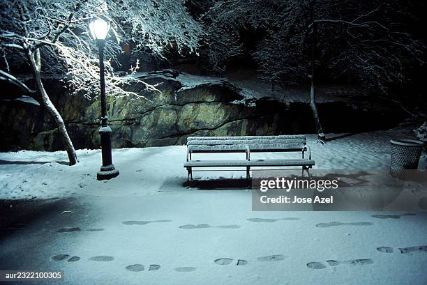 a set of footprints pass a lamppost and bench in central park, new york city, usa. - central bank of paraguay president carlos fernandez valdovinos interview stockfoto's en -beelden
