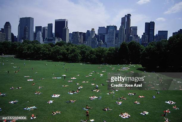 people sunbathing in sheep meadow, central park, new york city, usa. - sheep meadow bildbanksfoton och bilder