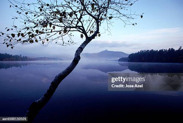 panoramic view of the white mountains, new hampshire, usa. - new hampshire 個照片及圖片檔