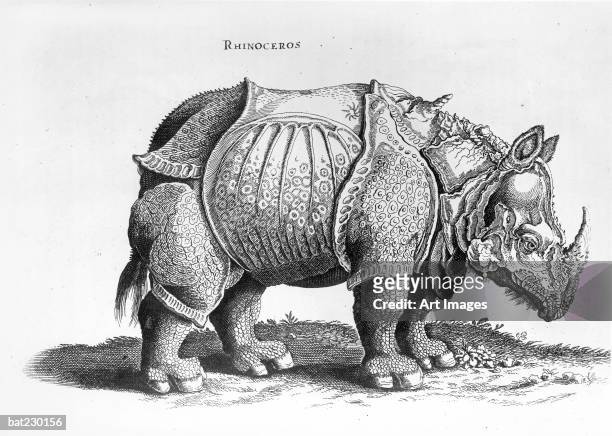 Rhinoceros, no.76 from 'Historia Animalium' by Conrad Gesner published in July 1815