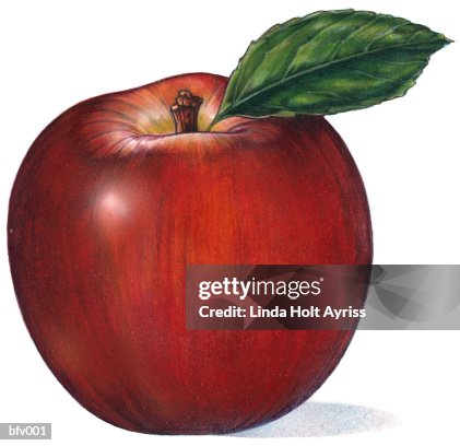Red Apple Red Apple
