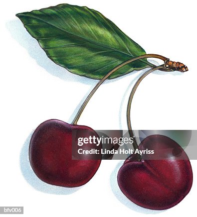 Cherries Cherries