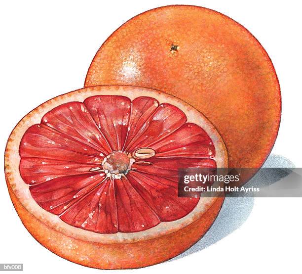 grapefruit - pink grapefruit stock illustrations