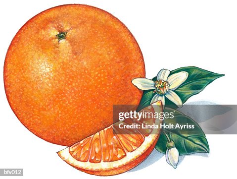 Orange Orange