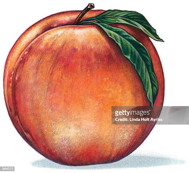 stockillustraties, clipart, cartoons en iconen met peach - georgia steel