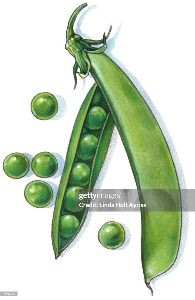 Pea Pod