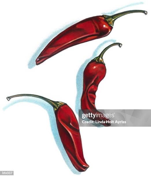 chili peppers - acrylic and colored pencil stock illustrations