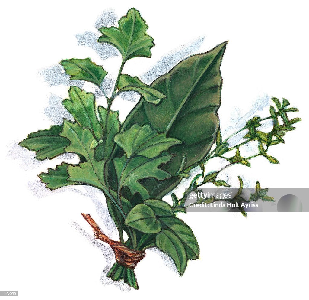 Bouquet Garni