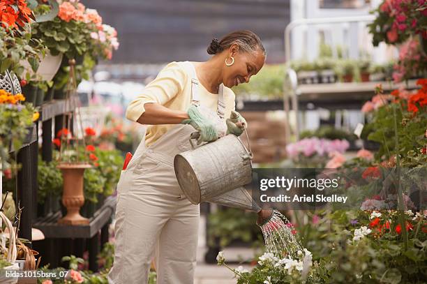 mature woman watering plants in a flower shop - ariel skelley stock-fotos und bilder