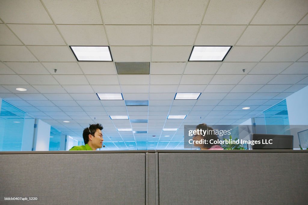 Young businesswoman and businessman talking to each other in an office