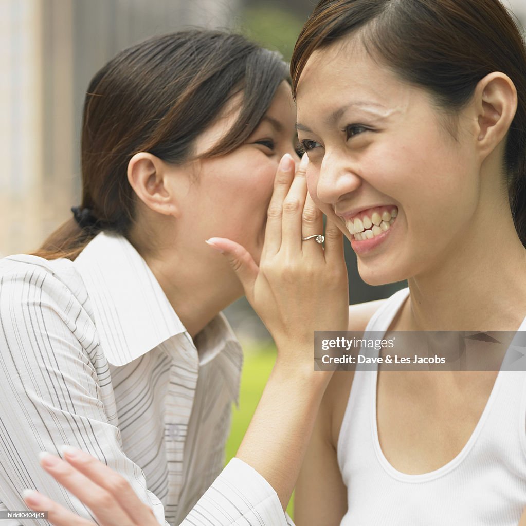 Young businesswoman whispering into another businesswoman's ear