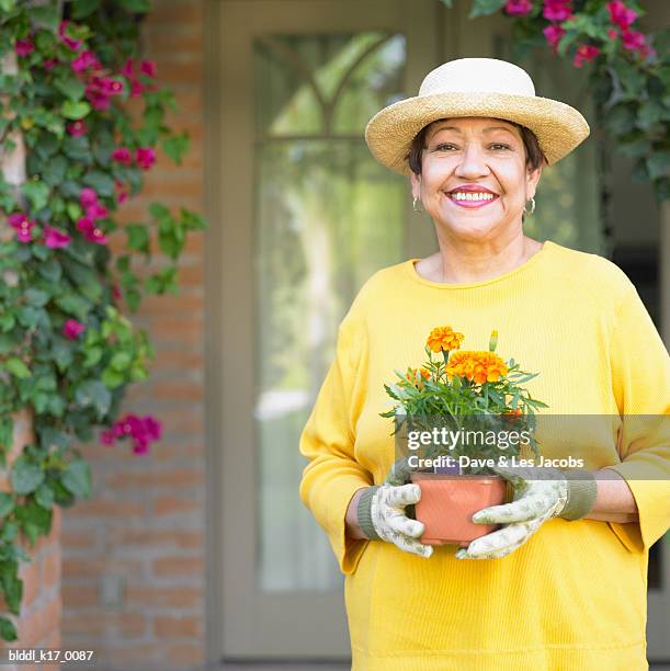 portrait of a mature woman holding a potted plant - dave and les jacobs stock-fotos und bilder