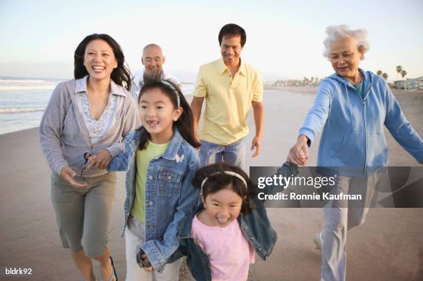 young couple and a senior couple walking on the beach with children - ronnie kaufman stockfoto's en -beelden