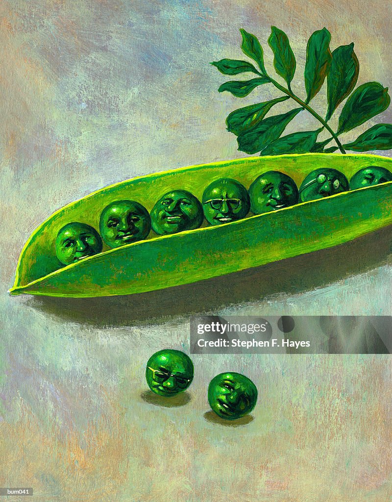 Peas in a Pod