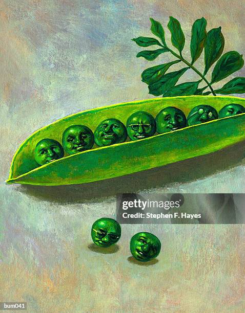 peas in a pod - like two peas in a pod stock illustrations