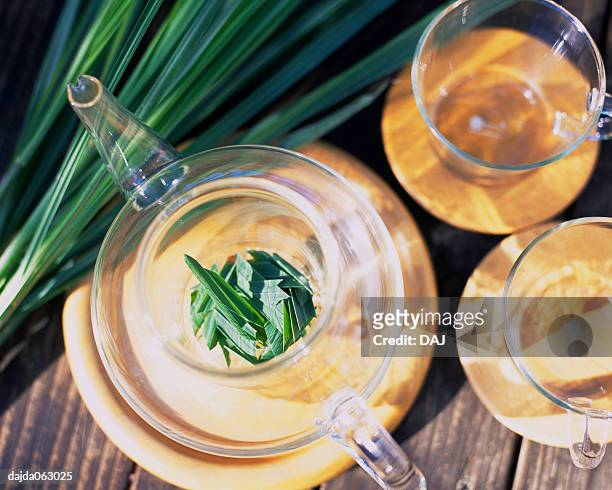 lemongrass in the tea pot - erva cidreira imagens e fotografias de stock