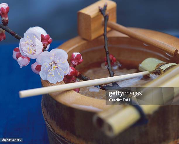 plum blossoms on the barrel - bamboo dipper photos et images de collection