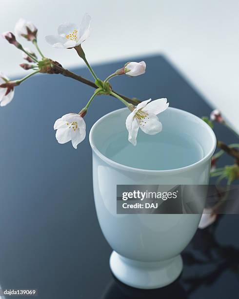 cherry blossoms on the sake cup - cherry blossoms foto e immagini stock