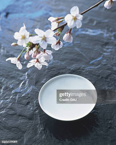 cherry blossoms and sake cup - cherry blossoms foto e immagini stock