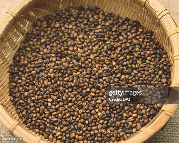 barley - hordeum stock pictures, royalty-free photos & images