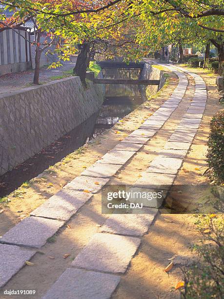 a pathway - daj stock pictures, royalty-free photos & images
