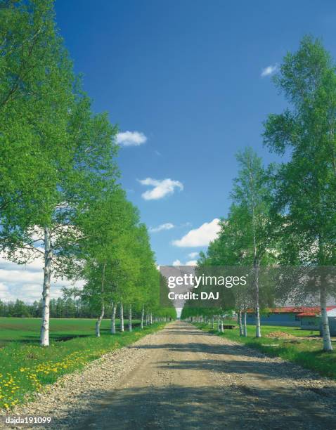 Grochen Path Linear Path Photos and Premium High Res Pictures - Getty Images