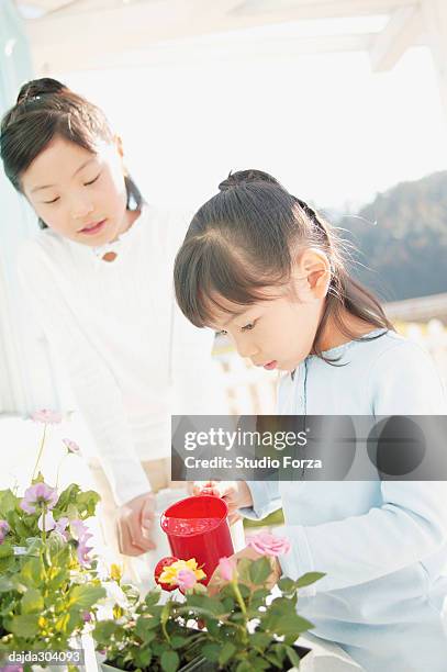 young girls watering flowers - forza fotografías e imágenes de stock