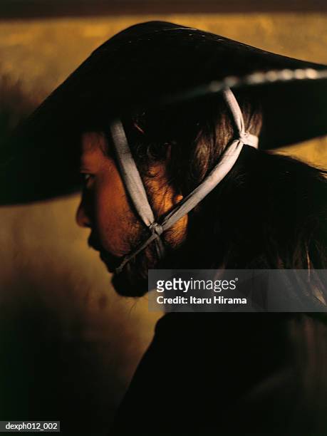 portrait of a samurai warrior - pamela frank fotografías e imágenes de stock