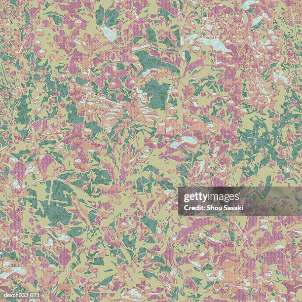 flowers against leaf camouflage pattern - digital camo pattern stock-grafiken, -clipart, -cartoons und -symbole