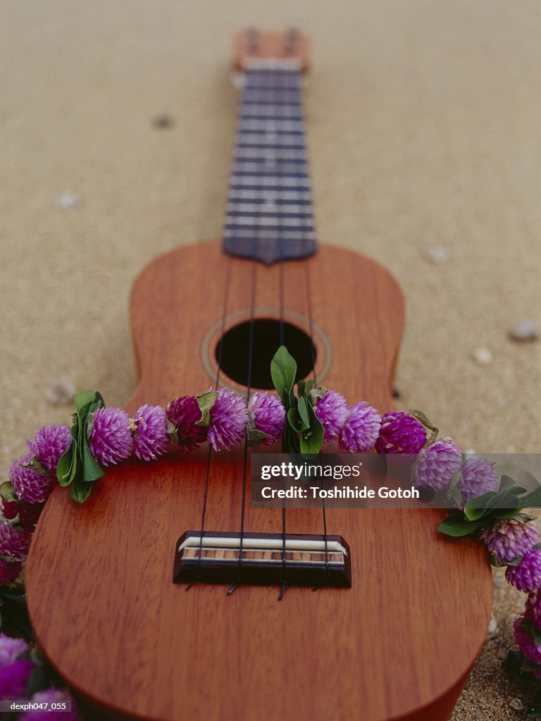 Ukelele and garland, elevated view