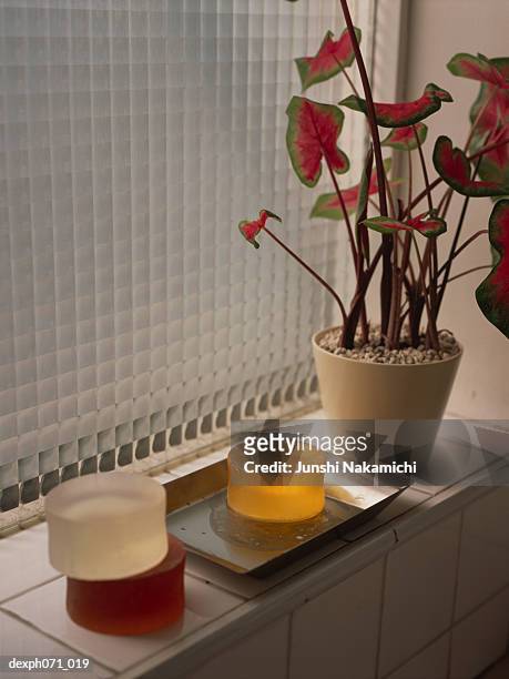 potted plant and soap bars on window sill - saboneteira imagens e fotografias de stock