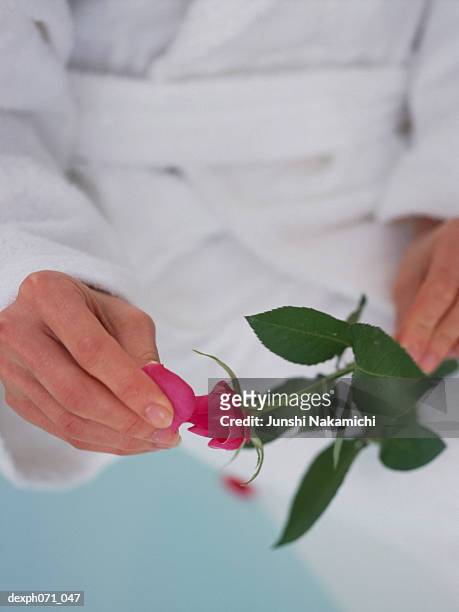 woman pulling red rose petals - robe rose stock pictures, royalty-free photos & images
