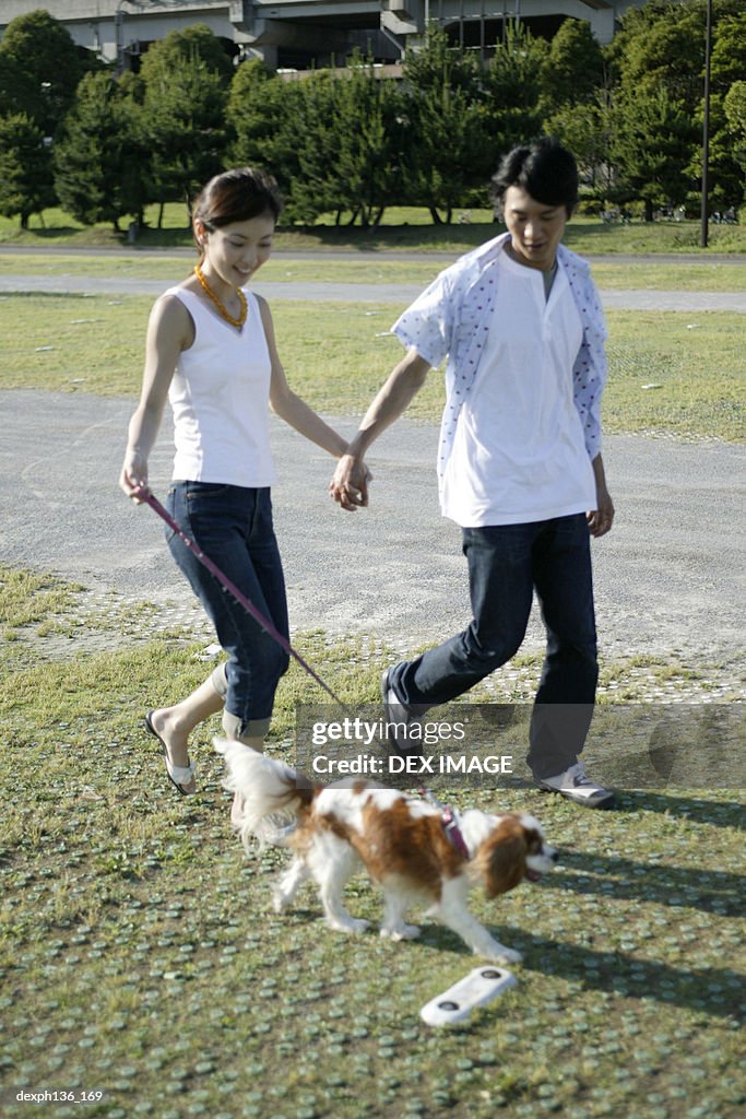 Young couple walking a dog