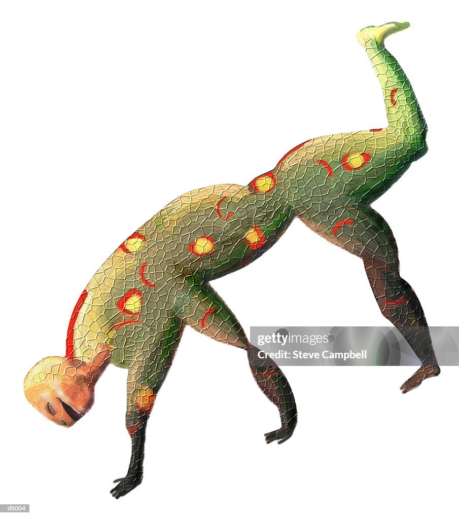 Lizard Creature