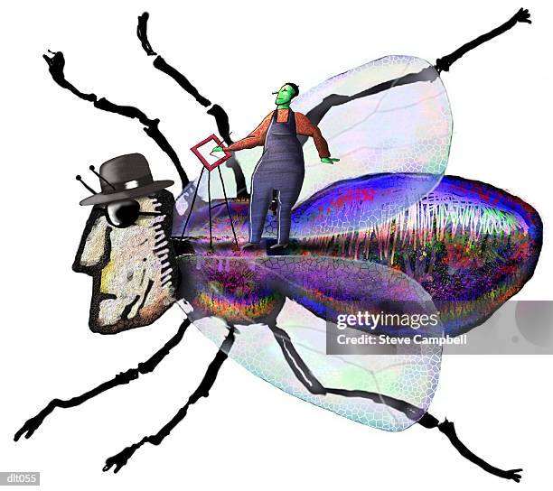 Man Into Insect 1,190 Animal Morph Stock Photos, High-Res Pictures, and Images - Getty ...