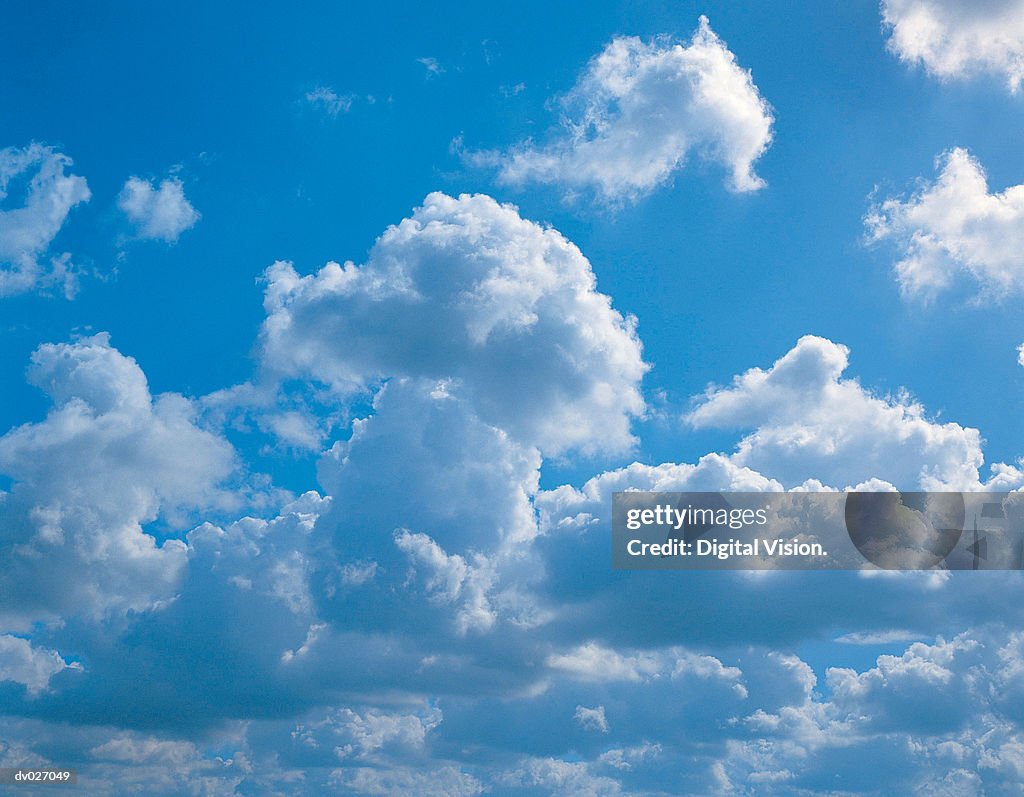 Cumulus clouds