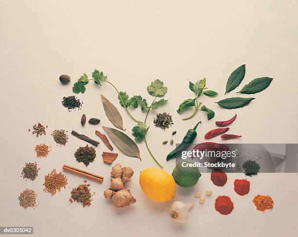 ingredients - garam masala stock pictures, royalty-free photos & images