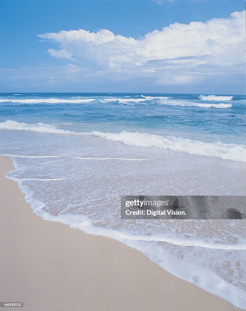 Waimea Bay, Oahu, Hawaiian Islands