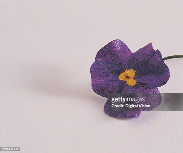violet - violet stock-fotos und bilder