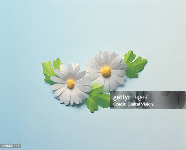 daisies - origami flower stock pictures, royalty-free photos & images