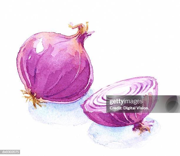 red onions - spanish onion 幅插畫檔、美工圖案、卡通及圖標