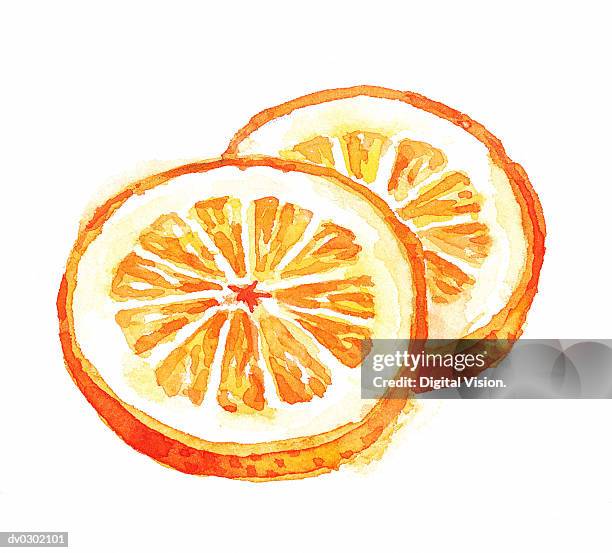 bildbanksillustrationer, clip art samt tecknat material och ikoner med orange slices - apelsin