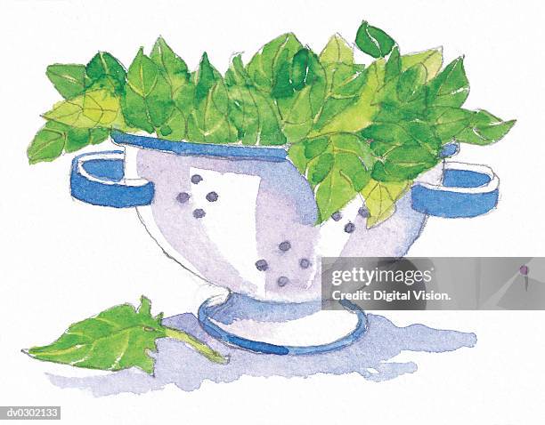 colander filled with spinach leaves - sieve stock illustrations