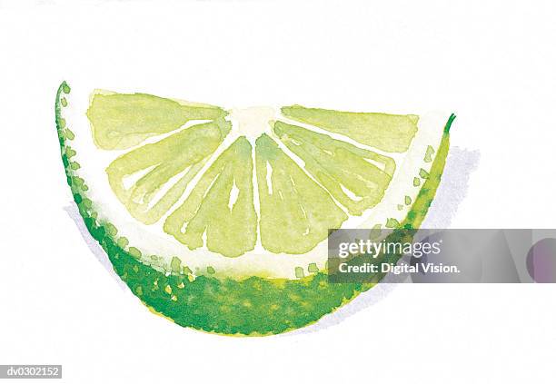 Lime Slice Drawing