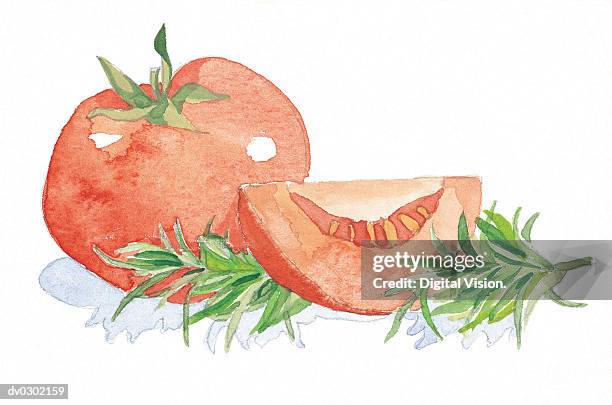 tomato garnished with rosemary - garnish stock illustrations