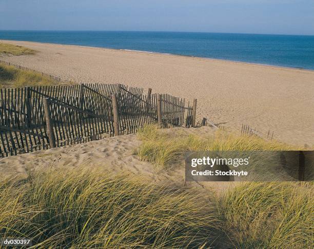 race point beach, provincelands, provincetown, cape cod, massachusetts, usa - cape point stock pictures, royalty-free photos & images